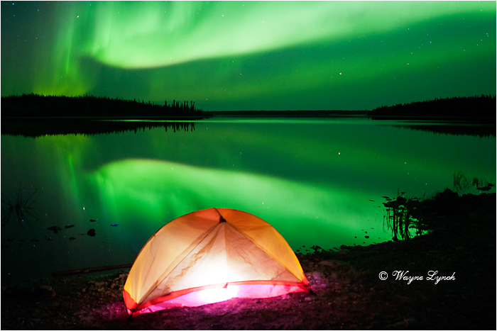 Aurora Borealis by Dr. Wayne Lynch &copy;